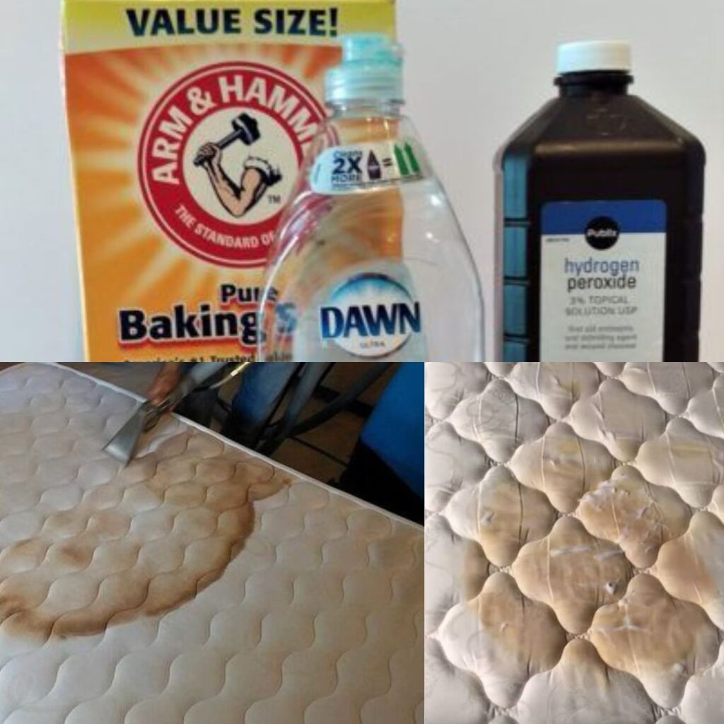 Banishing Stains How to Remove Pee and Sweat Stains from Your Mattress