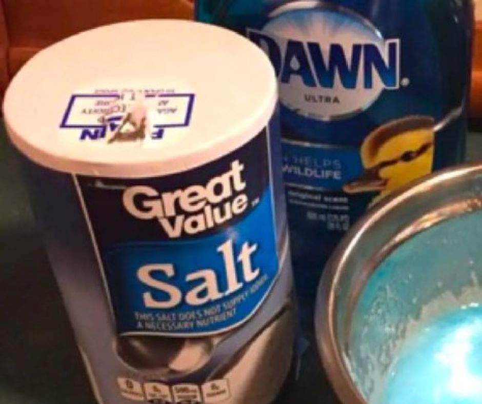 Using Dawn Dish Soap and Table Salt, get rid of your pet's fleas